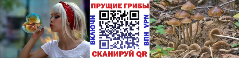 mega ССЫЛКА  Собинка  Псилоцибиновые грибы MAGIC MUSHROOMS  продажа наркотиков 